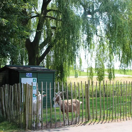 In Zevenhuizen With Sauna, Cleaning Included Holiday home Zevenhuizen (Zuidplas)
